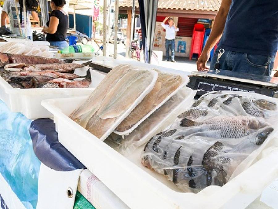 Feira do Peixe no bairro Santo Amaro nesta sexta (8) e sábado (9) - Portal Ururau - Ururau