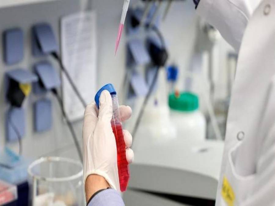 Vacina BCG contra a covid-19 poderá ser alternativa de ...