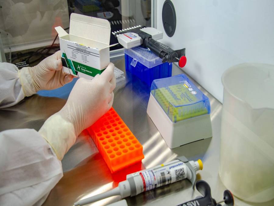 Covid-19: Anvisa autoriza testes para nova vacina da ...