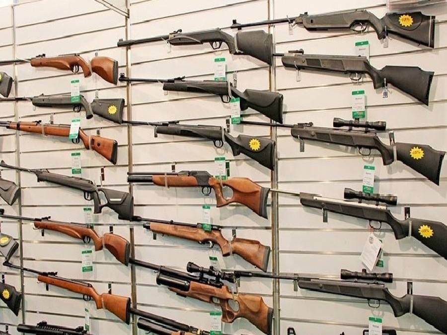 Mourão defende colecionadores de armas, atiradores e caçadores - Portal ...