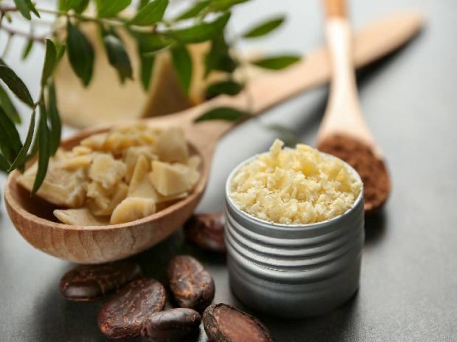 Manteiga De Cacau Conheça Os Benefícios Para A Pele E Cabelo Portal Ururau Site De Notícias 